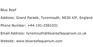 Blue Reef Address Contact Number