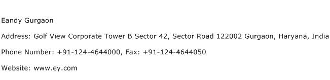 Eandy Gurgaon Address Contact Number
