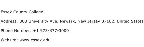 Essex County College Address Contact Number