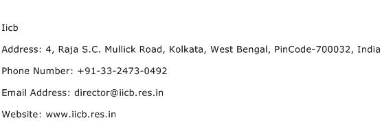 Iicb Address Contact Number