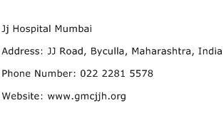 Jj Hospital Mumbai Address Contact Number