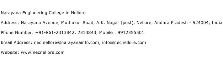 Narayana Engineering College in Nellore Address Contact Number