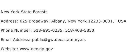 New York State Forests Address Contact Number