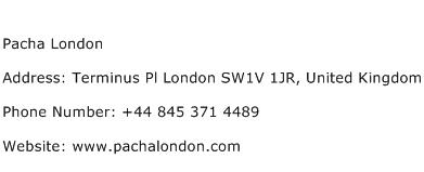 Pacha London Address Contact Number